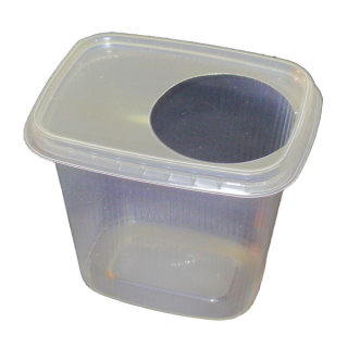 Pomp PET-Becher Mit Deckel – 50 Stück, 473 Ml, Ideal Für Parties, Büro Oder Unterwegs